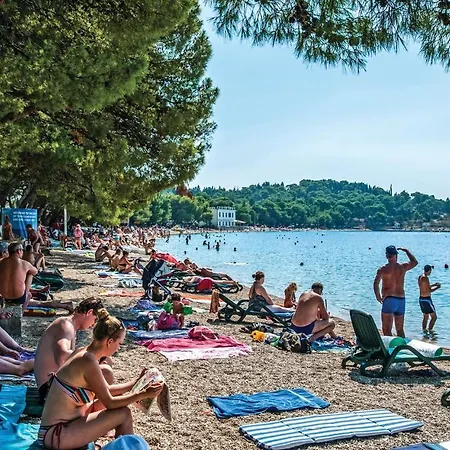 Cozy In With Wifi Διαμέρισμα *